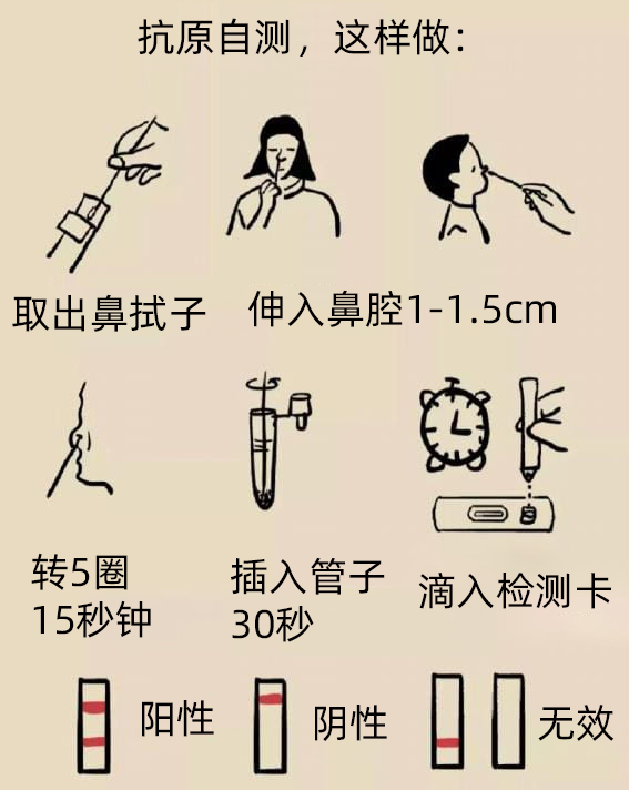 鼻拭子自測操作步驟圖解
