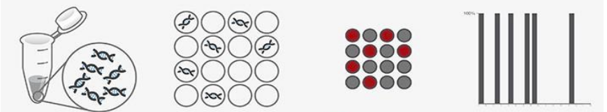 數(shù)字 PCR 原理圖 數(shù)字 PCR 原理圖