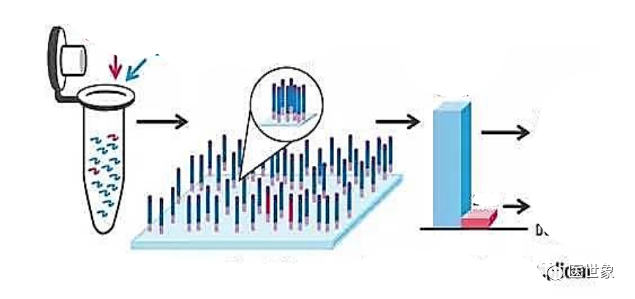 NGS 原理圖 NGS 原理圖