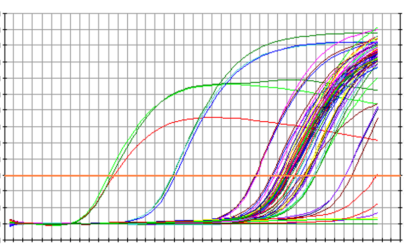 實(shí)時(shí)PCR擴(kuò)增曲線.png 實(shí)時(shí)PCR擴(kuò)增曲線.png