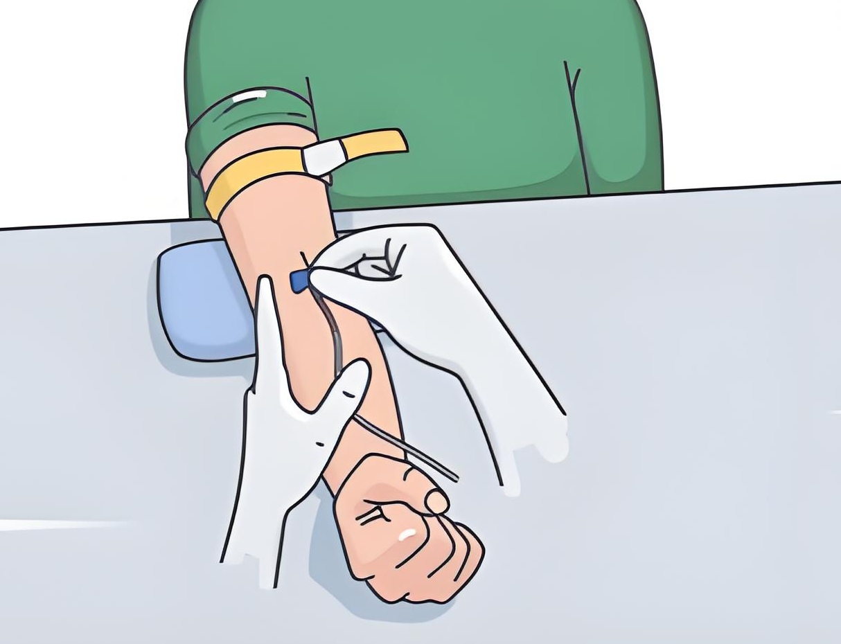 靜脈采血.png 靜脈采血.png